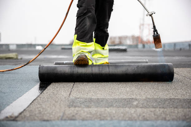 Best Roof Moss and Algae Removal  in Centerville, CA